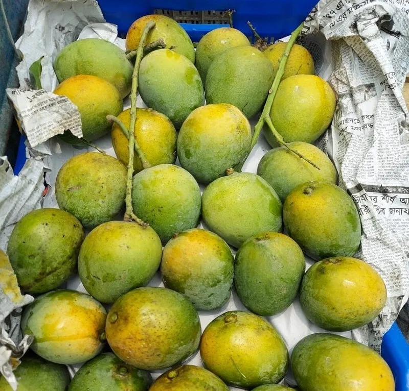 আমাদের নিজস্ব বাগান